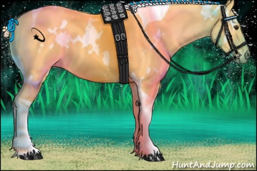 Horse Color:White Spotted Palomino Tobiano 