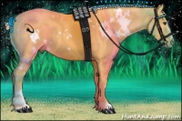 Horse Color:White Spotted Palomino Sabino