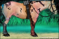 Horse Color:White Spotted Chestnut Pearl Tobiano 