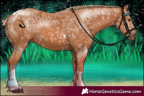Horse Color:Chestnut Ice Tobiano Rabicano 