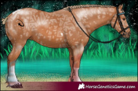 Horse Color:Chestnut Ice Tobiano Rabicano 