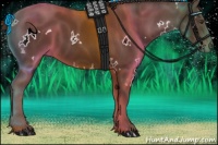 Horse Color:White Spotted Liver Chestnut 