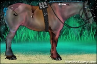 Horse Color:Black Tobiano 