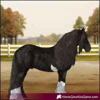 Horse Color:Liver Chestnut Ice Tobiano 