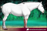 Horse Color:Palomino Roan Onyx Near Leopard 