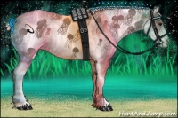 Horse Color:White Spotted Silver Black 