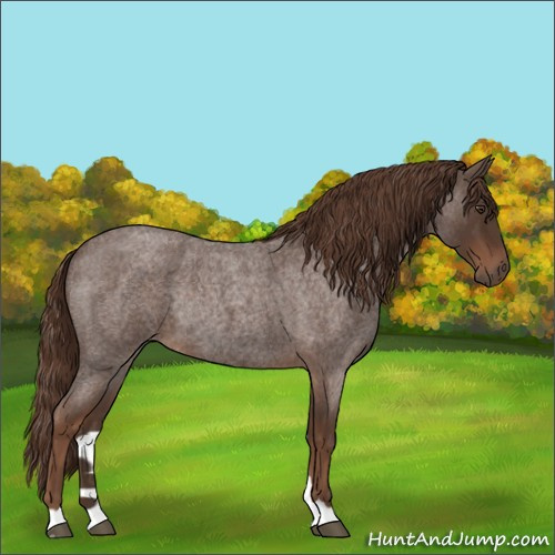 Horse Color:Liver Red Roan Rabicano 
