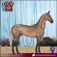 Horse Color:Silver Brown Dun 