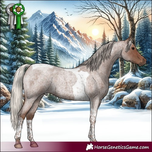 Horse Color:Silver Blue Roan Tobiano 