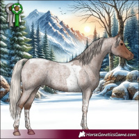 Horse Color:Silver Blue Roan Tobiano