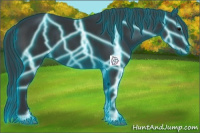 Horse Color:Thunderstruck Black 