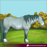 Horse Color:Watercolor Bay Frame