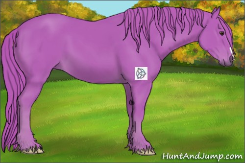 Horse Color:Watercolor Chestnut