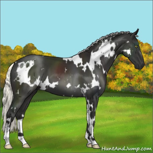 Horse Color:White Spotted Liver Chestnut Mushroom