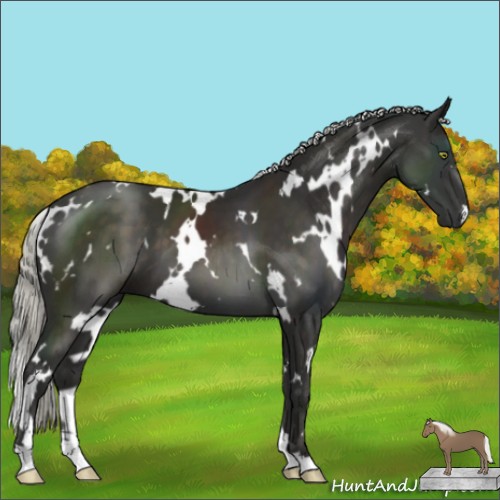 Horse Color:White Spotted Liver Chestnut Mushroom
