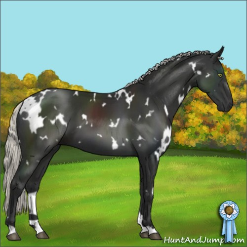 Horse Color:White Spotted Liver Chestnut Mushroom