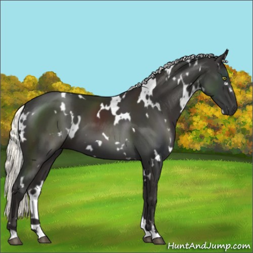 Horse Color:White Spotted Liver Chestnut Mushroom 
