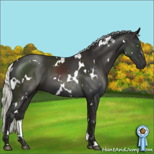Horse Color:White Spotted Liver Chestnut Mushroom 