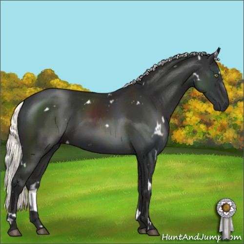 Horse Color:White Spotted Liver Chestnut Mushroom 