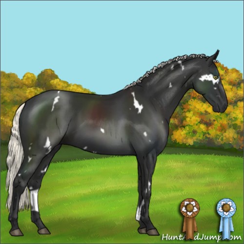 Horse Color:White Spotted Liver Chestnut Mushroom 