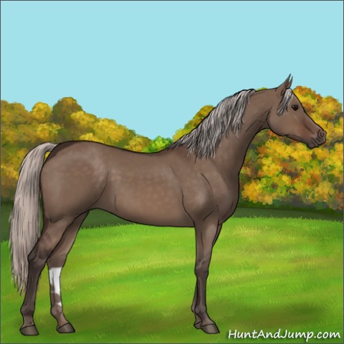 Horse Color:Silver Brown Dun 