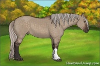 Horse Color:Silver Brown Dun 