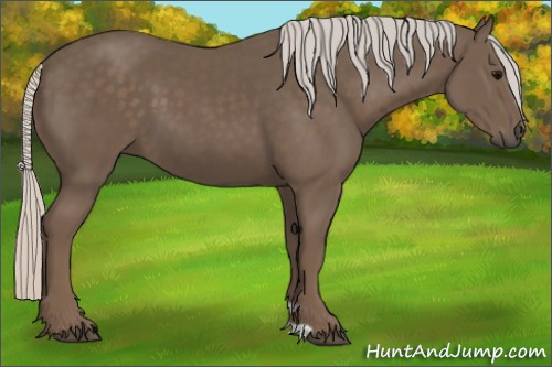 Horse Color:Silver Black 