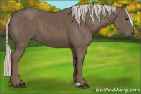 Horse Color:Silver Black 
