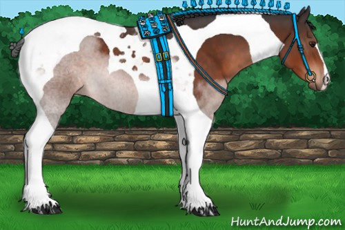 Horse Color:Brown Tobiano 