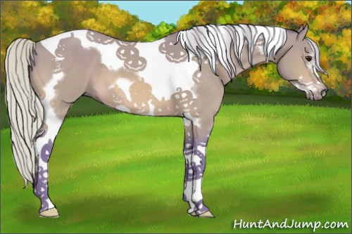 Horse Color:Watercolor Silver Bay Tobiano Frame