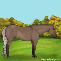 Horse Color:Silver Brown Dun