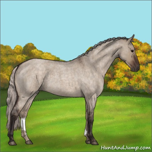 Horse Color:Silver Brown Roan Dun 