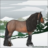 Horse Color:Bay Roan 