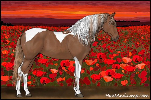 Horse Color:Chestnut Tobiano