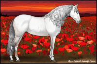 Horse Color:Gray Bay Dun Tobiano Appaloosa