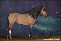 Horse Color:Bay Dun