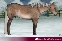 Horse Color:Silver Brown Dun Rabicano 