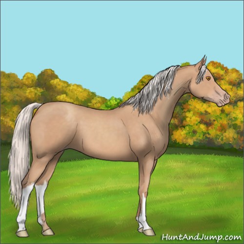 Horse Color:Silver Classic Champagne