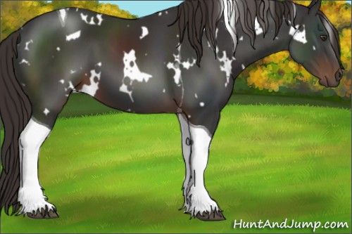 Horse Color:White Spotted Liver Chestnut Tobiano 