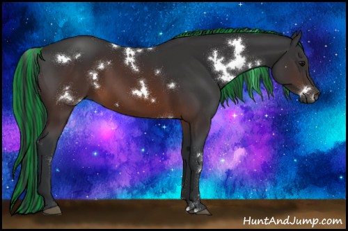 Horse Color:Painted White Spotted Brown 