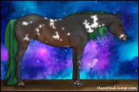Horse Color:Painted White Spotted Brown