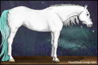 Horse Color:Gray Watercolor Bay Roan Dun Tobiano Frame 