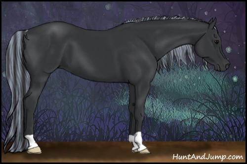 Horse Color:Painted Black 