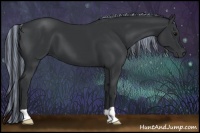 Horse Color:Painted Black