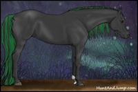 Horse Color:Painted Black 