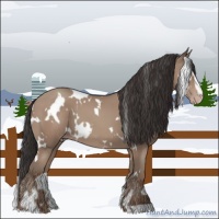 Horse Color:White Spotted Classic Champagne Sabino 