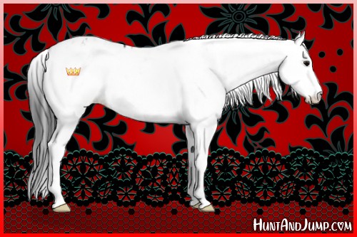 Horse Color:Black Sabino Splash Leopard  and Black Sabino Splash Leopard 