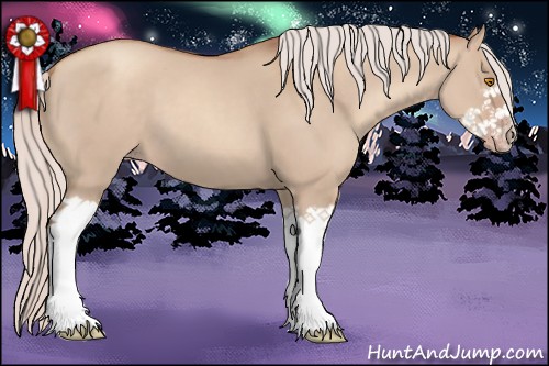 Horse Color:Silver Classic Champagne Dun Splash Frame 