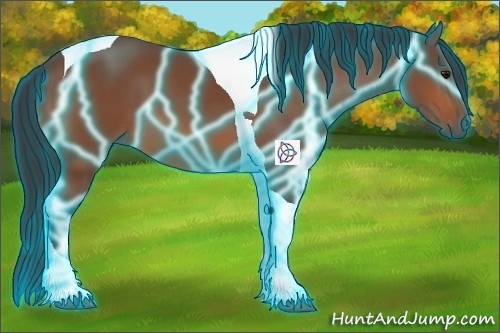 Horse Color:Thunderstruck Bay Tobiano