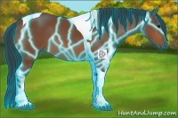 Horse Color:Thunderstruck Bay Tobiano 